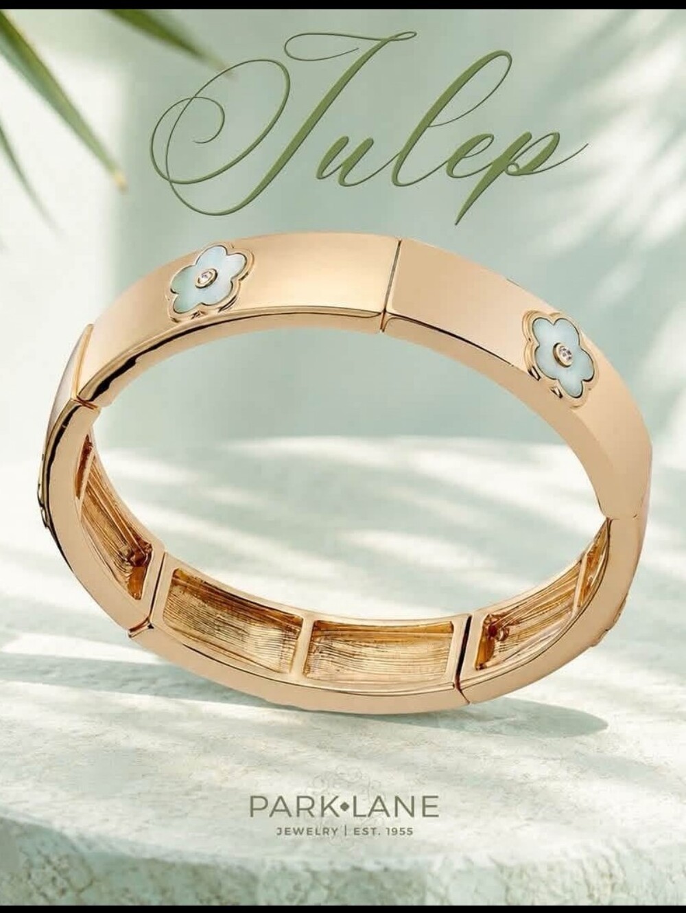 Park Lane JULEP Stretch To Fit Bangle Bracelet EXCLUSIVE SOLD OUT BNIB